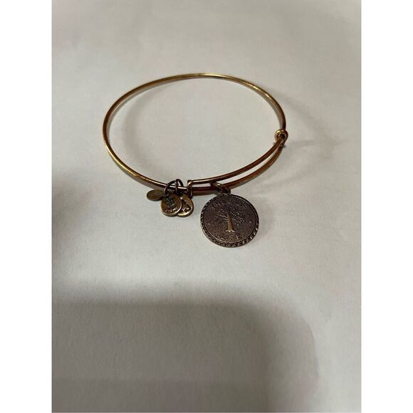 Alex and Ani Tree of Life Expandable Bangle Stacking Bracelet 7 in - Picture 1 of 2